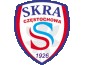 SKRA CZĘSTOCHOWA 2009